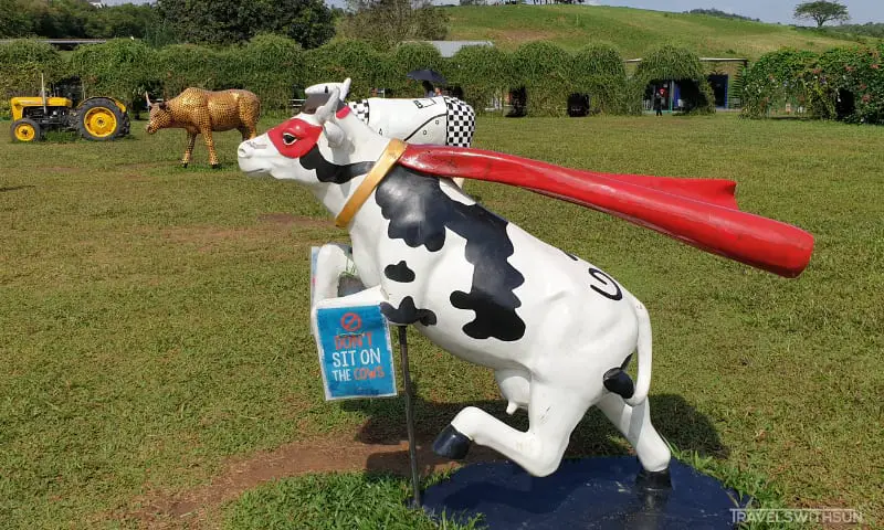 One Of The Colorful Cow Displays At Farm Fresh UPM