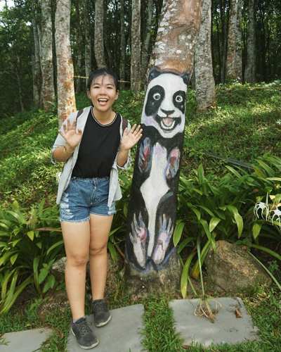 Painted tree with a panda at Gaharu Tea Valley - photo credits to heloise_hh (Instagram)