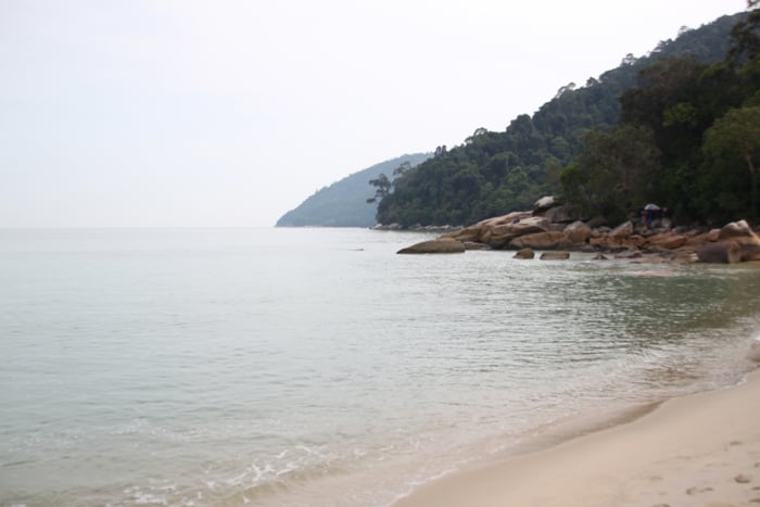 Pantai Kerachut (Keracut Beach) In Penang National Park