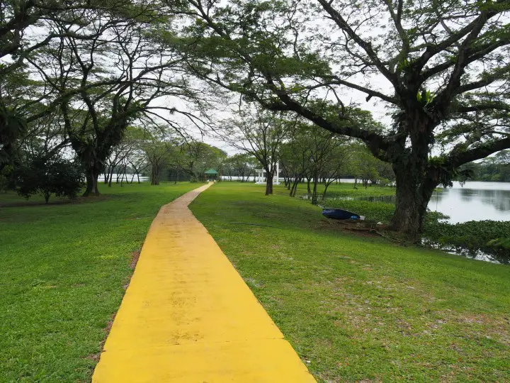 Pathway in Kinta Nature Park