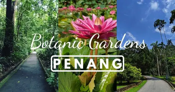 Penang Botanical Gardens – Visit The Green Lungs Of Penang!