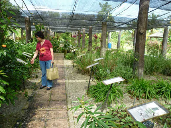 Perak Herbal Garden at Batu Gajah