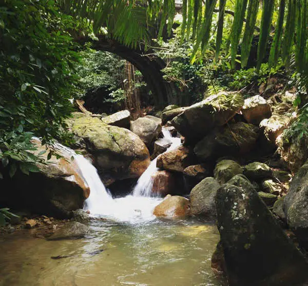 Picturesque Stream At Penang Botanic Gardens
