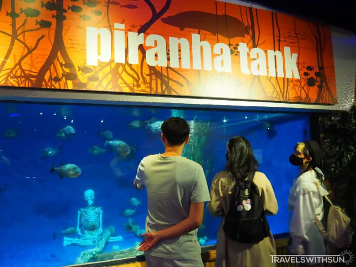 Piranha Tank At Aquaria KLCC