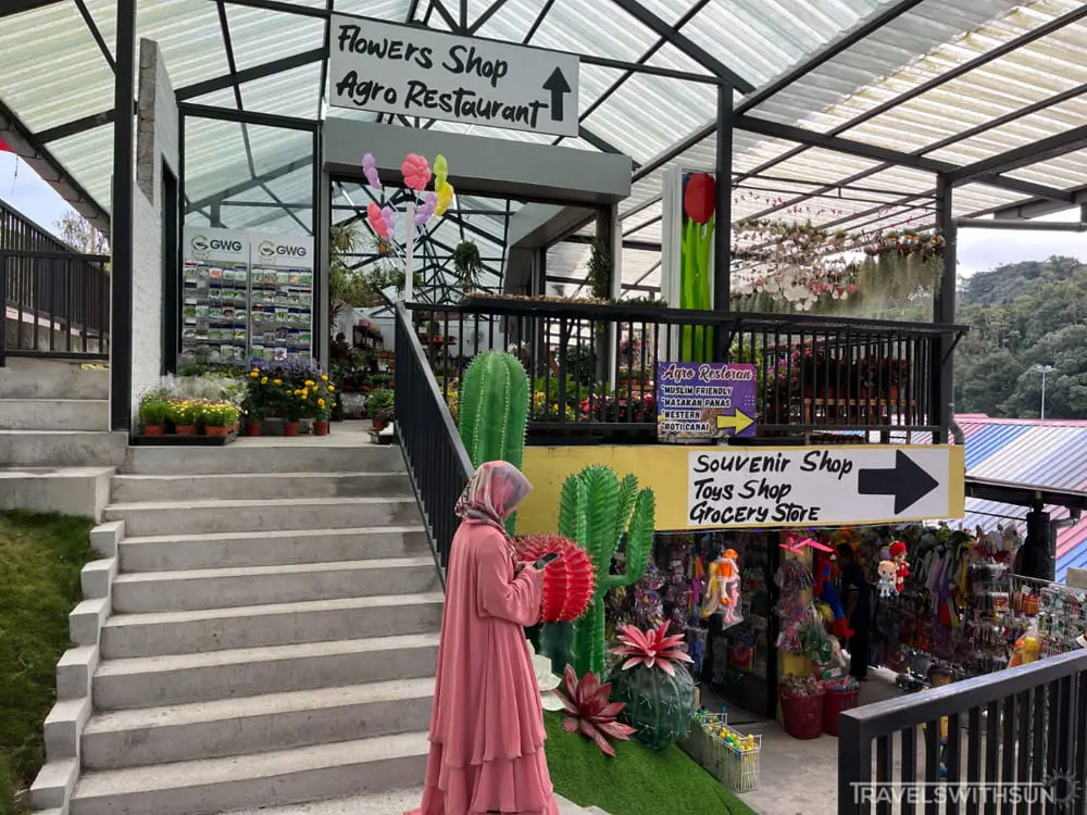 Plant And Souvenir Shop Outside Agro Market Cameron Highlands