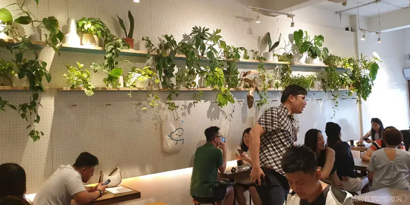 Plant Filled Wall Inside Fluffed Café At Paramount Garden in Petaling Jaya