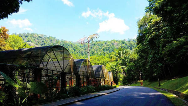Plant Houses At Penang Botanic Gardens