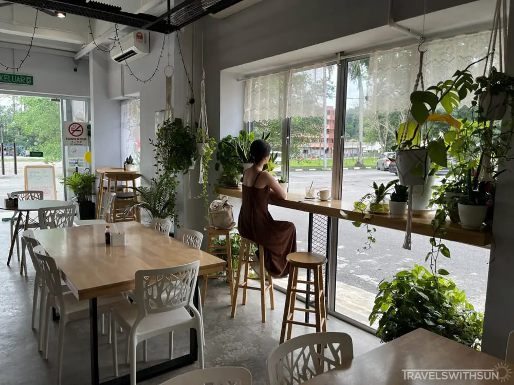 Plants In Rainy Corner Cafe, Taiping