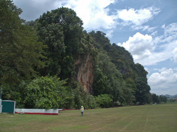 Polo Field Enroute To Tambun Cave