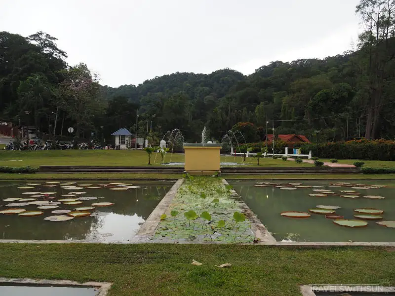 Pond At Penang Botanic Gardens