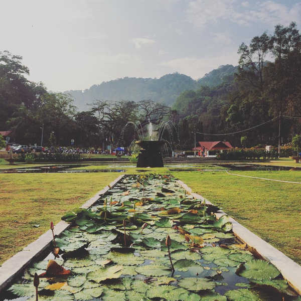 Pond At Penang Botanical Gardens