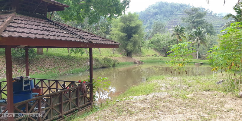 Pond At The Little Habitat Camping Site In Bentong