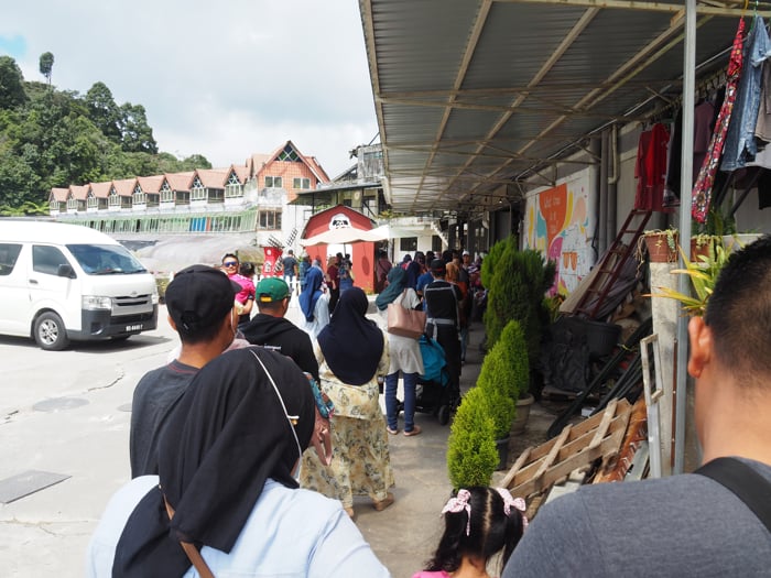 Queue At The Sheep Sanctuary In Cameron Highlands