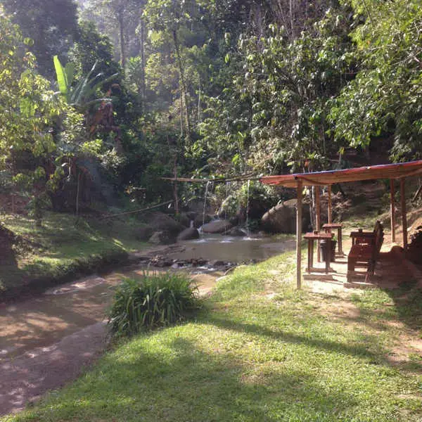 热带雨林旅馆