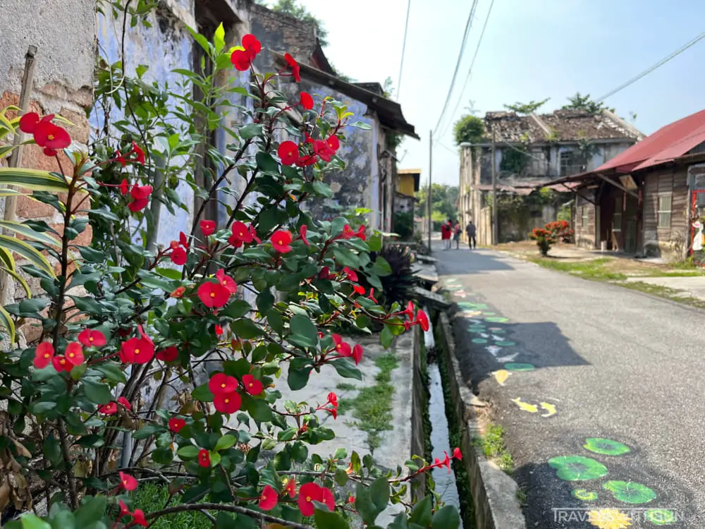 Red Flowers At Papan Middle Alley In Papan Village