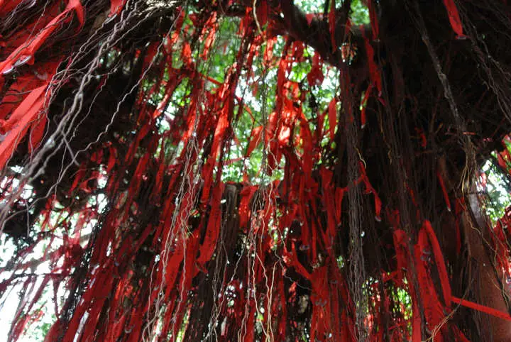 Red ribbons and charms hanging from the wish tree at Sekinchan