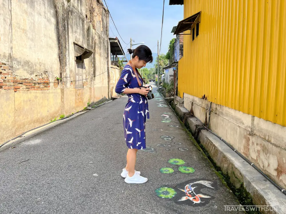 Road Paintings Of Fish At Papan Village In Pusing, Perak