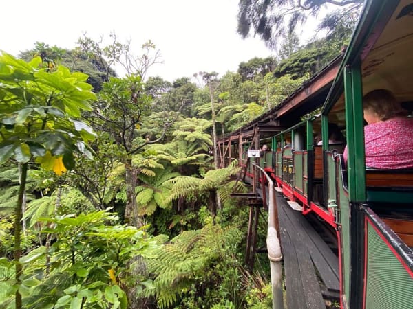 Scenic Train Ride By Driving Creek Railway Tours