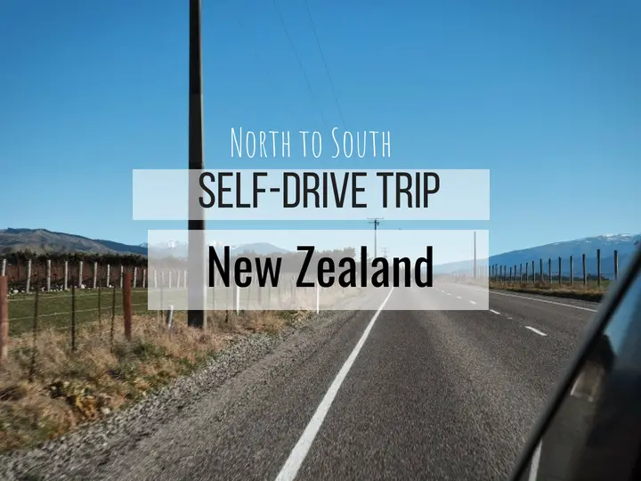 New Zealand 1 Month Self-drive Trip Itinerary (North to South)