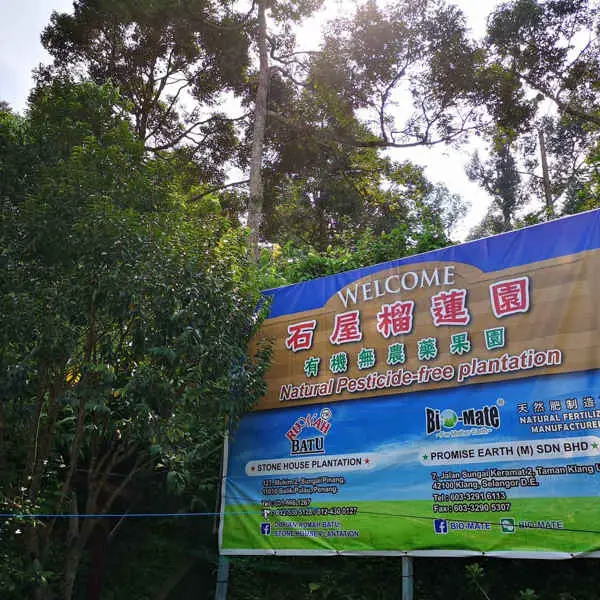 Signboard For Durian Rumah Batu, Stone House Plantation In Penang