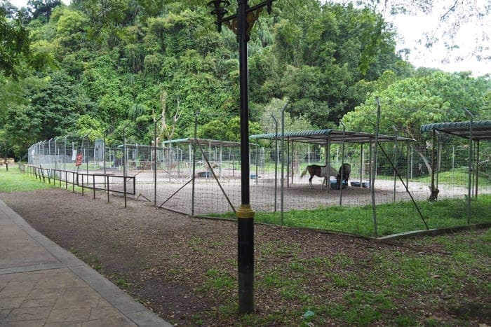 Small Zoo At Gunung Lang Recreational Park