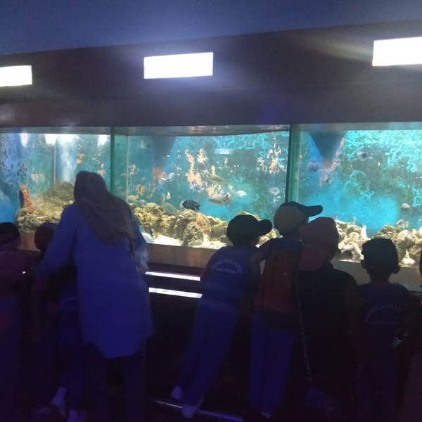 Aquarium maung penang batu Akuarium Batu