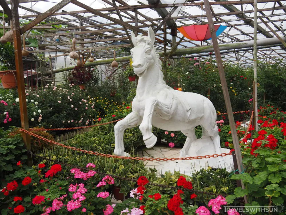 Statue Of A Horse At Rose Valley In Cameron Highlands