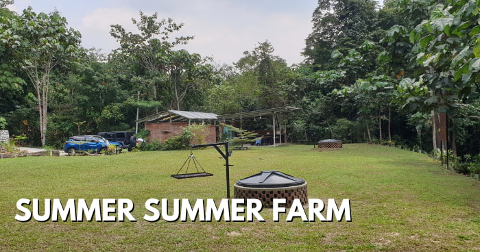 Summer Summer Farm At Batang Kali