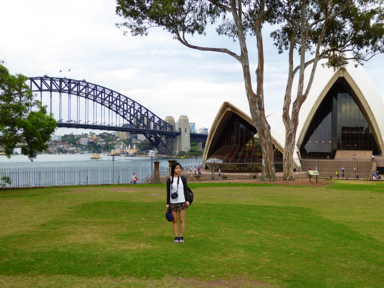 Sydney harbour bridge and the opera house from the botanical gardens