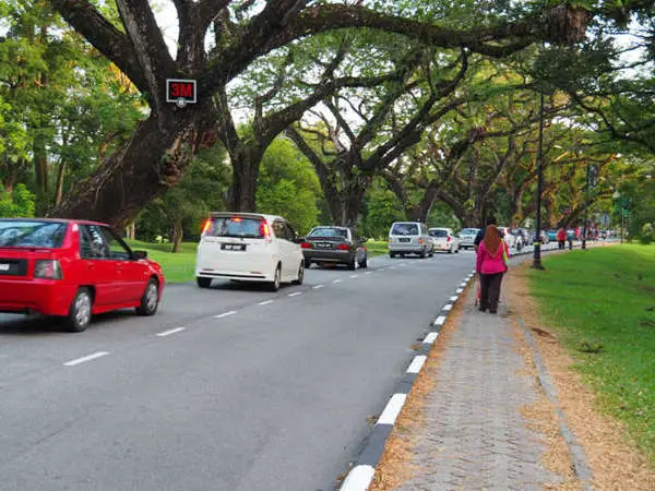 Taiping road (Jalan Pekeliling) shaded by big raintrees