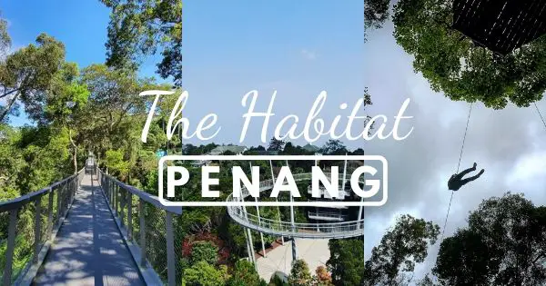 The Habitat Penang Hill (Full Guide) & Tips For Entrance Fees