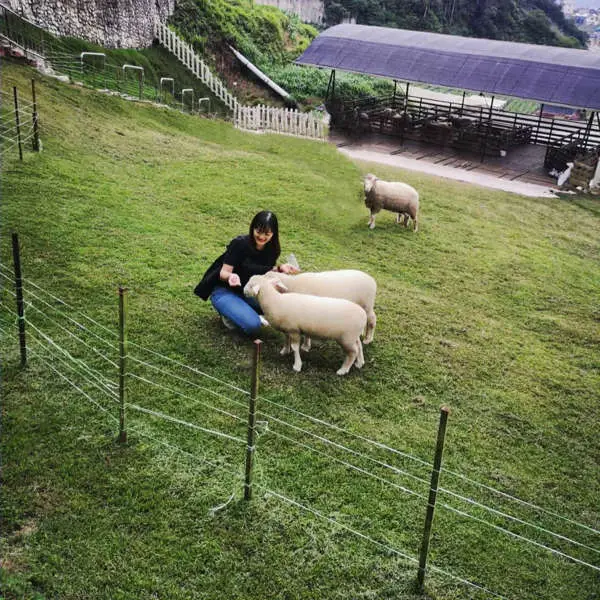 坐落在美兰村的牧羊场