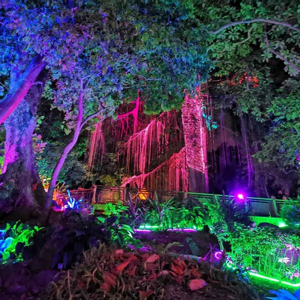 Avatar secret garden penang Penang Nightlife