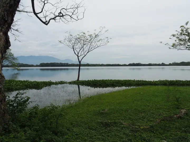 The lake in Kinta Nature Park