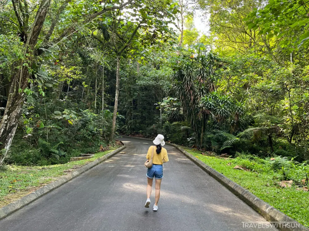 Towards Section 4 Of Perak Botanic Gardens In Taiping