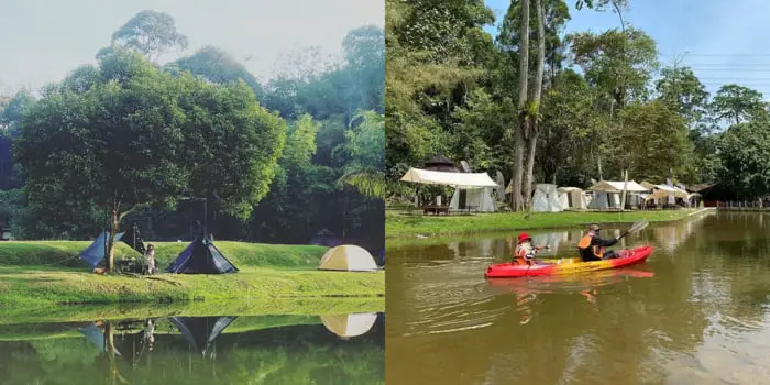 Trees And River At Resort Taman Eko Rimba Komanwel