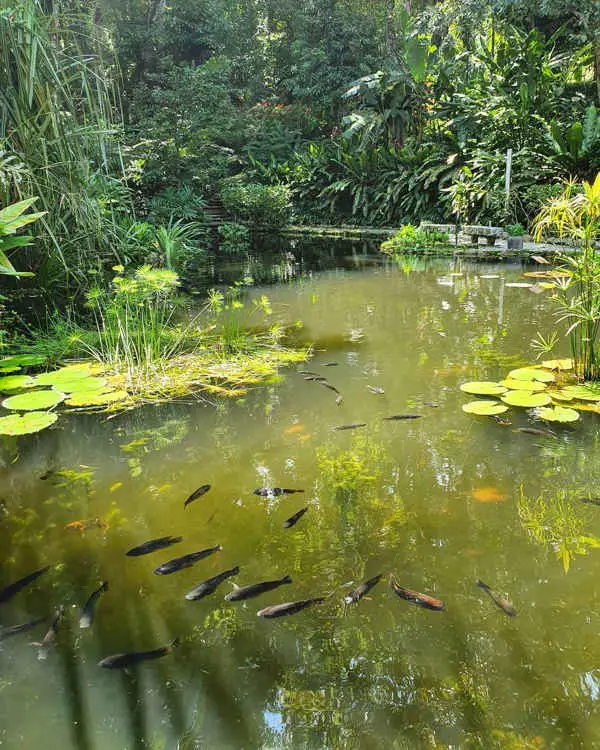 Tropical Spice Garden Is 4 Minutes' Drive From Batu Ferringhi In Penang