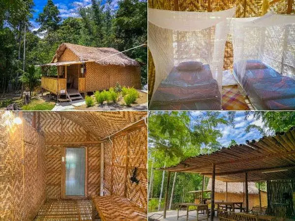 热带雨林旅馆的双人卧室木制度假屋