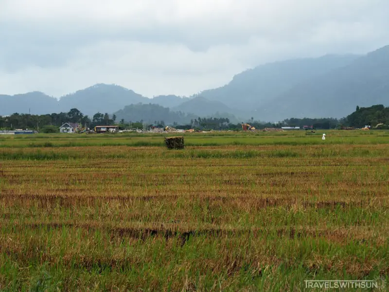 浮罗山背稻田的山景