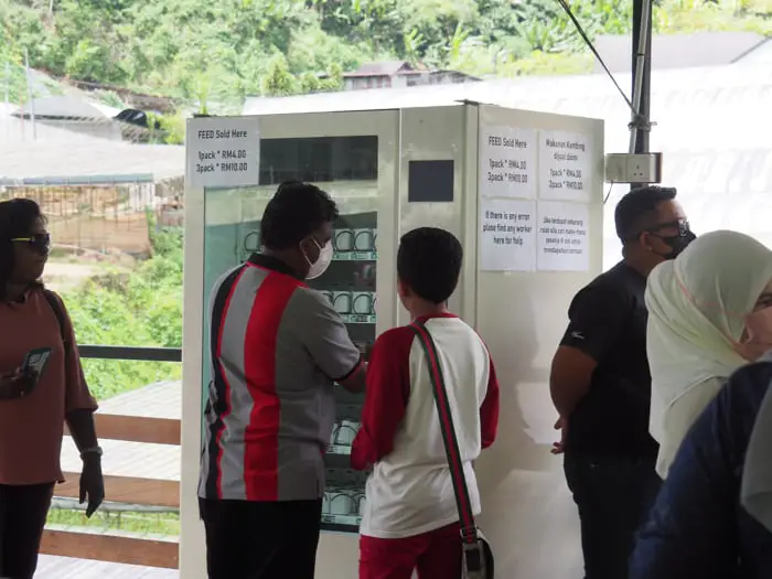Visitors Purchasing More Feed From The Vending Machine At The Sheep Sanctuary In Cameron Highlands