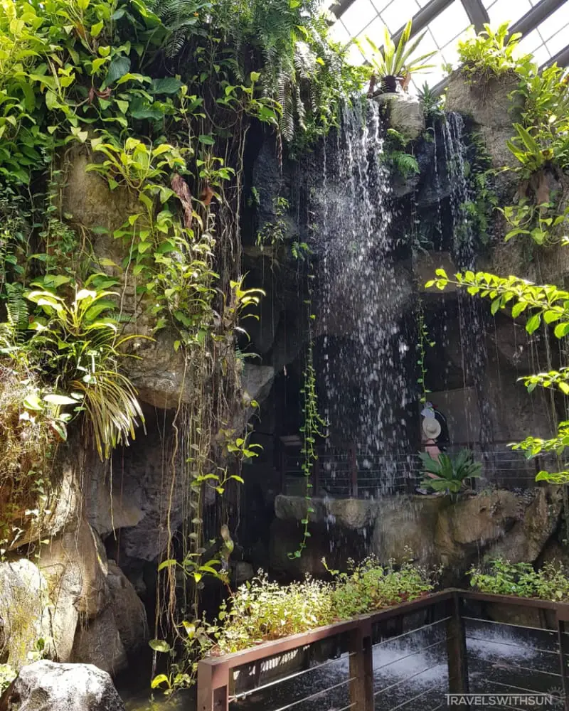 Water Feature At Entopia By Penang Butterfly Farm