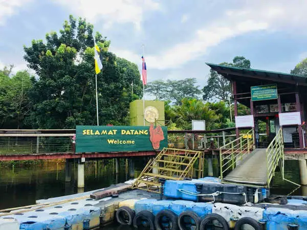 Welcome to Bukit Merah Orang Utan Island