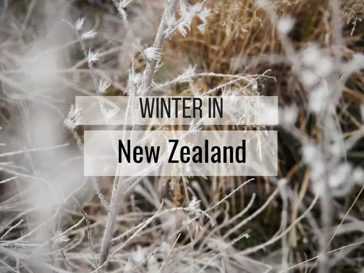 What Winter Is Like In New Zealand