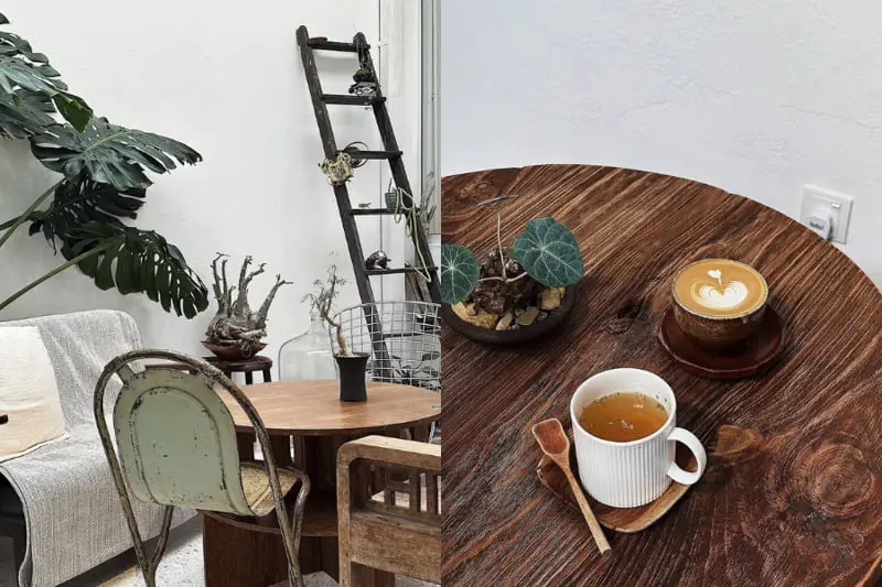 Wooden Accents And Plants At Lunabarcoffee, Penang