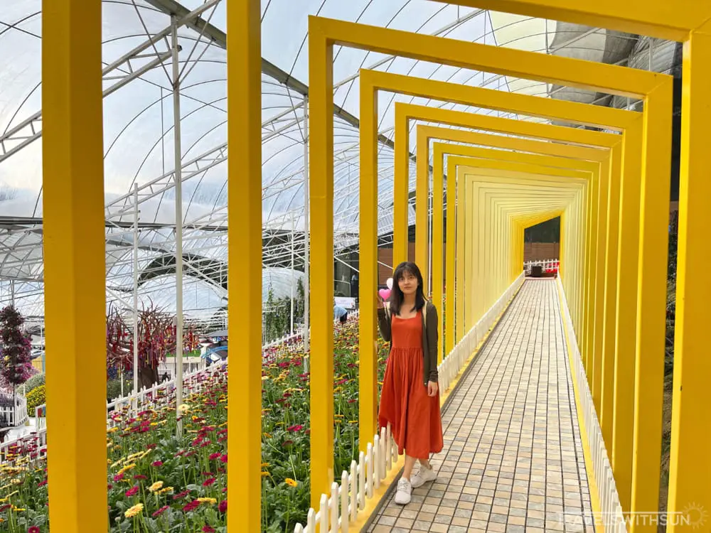 Yellow Arch Tunnel Walkway At Agro Market Cameron Highlands