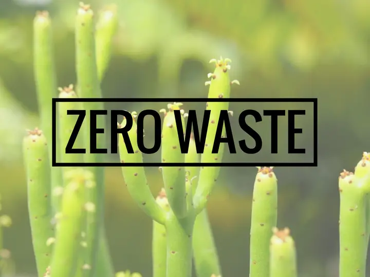 Start your Zero Waste journey now